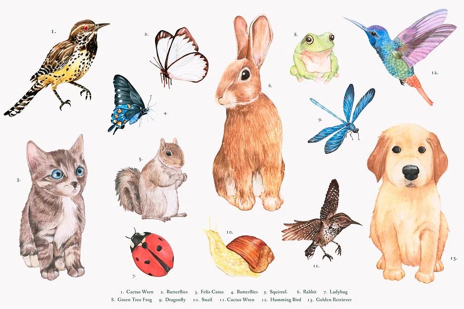 Hand drawn animal set. poster detail