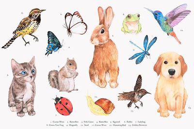 Hand drawn animal set. poster