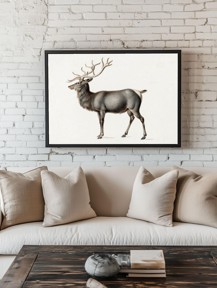 European Elk Peter Rindisbacher. Original room preview