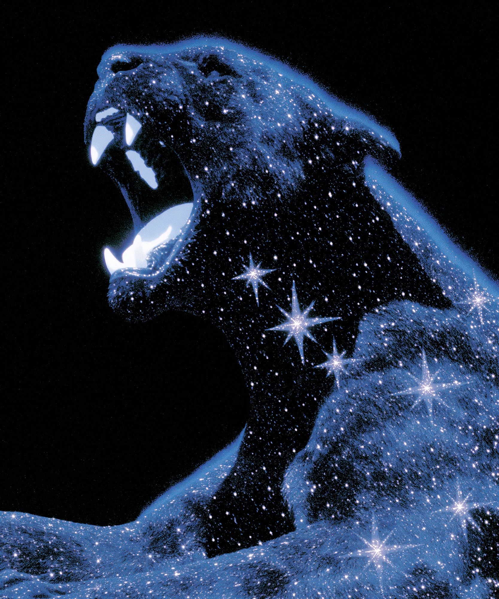 Cosmic Bear Illustration Poster. poster detail