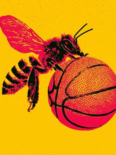 Bee on Basketball Pop Art Poster. poster