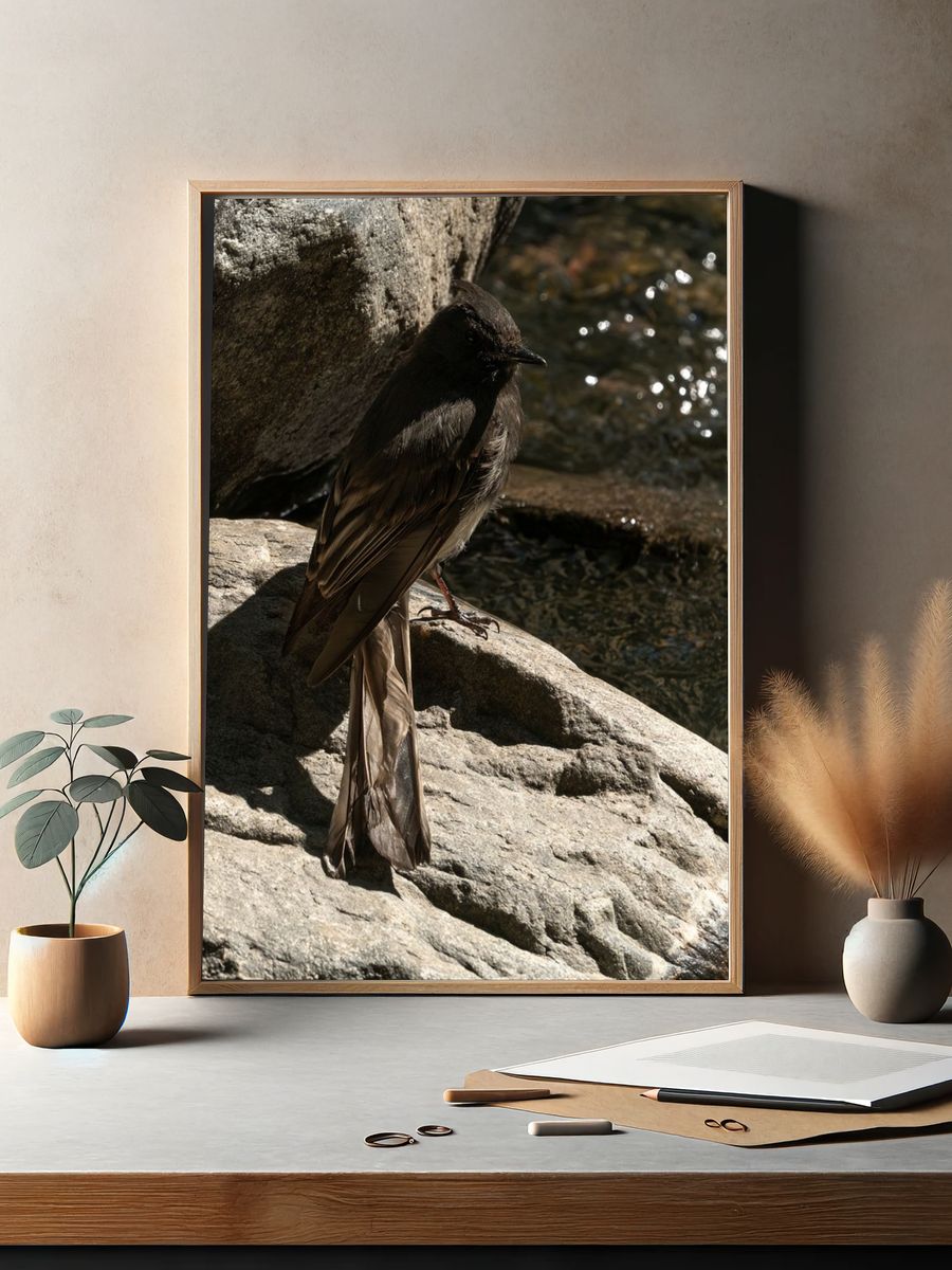 Dark Bird on River Rocks Poster. — room view 2