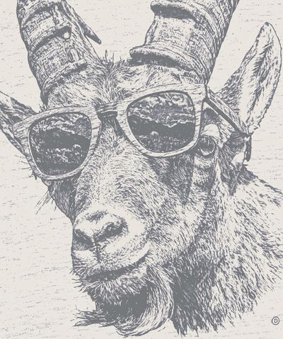Cool Deer Portrait Print. poster