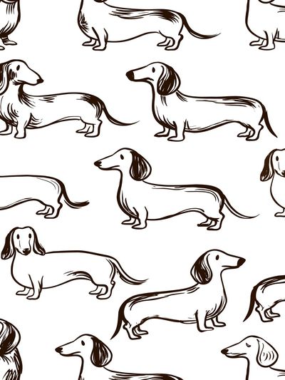 Dachshund Pattern Illustration Poster. poster