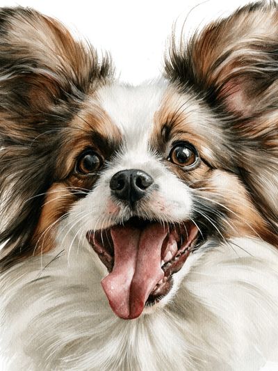Papillon Dog Watercolor Poster. poster