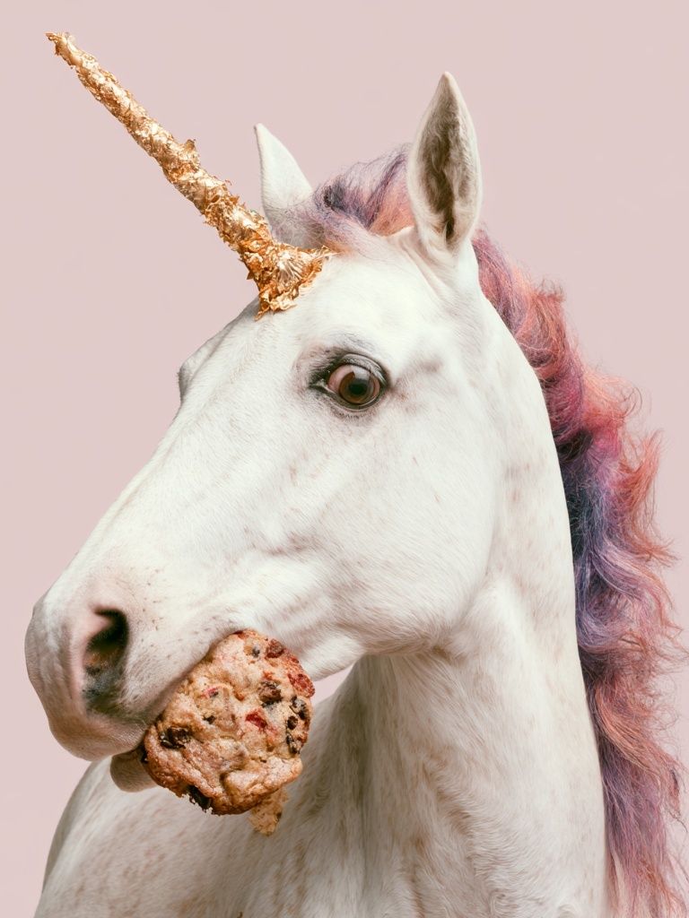 Unicorn Cookie Portrait Poster. poster — animals art