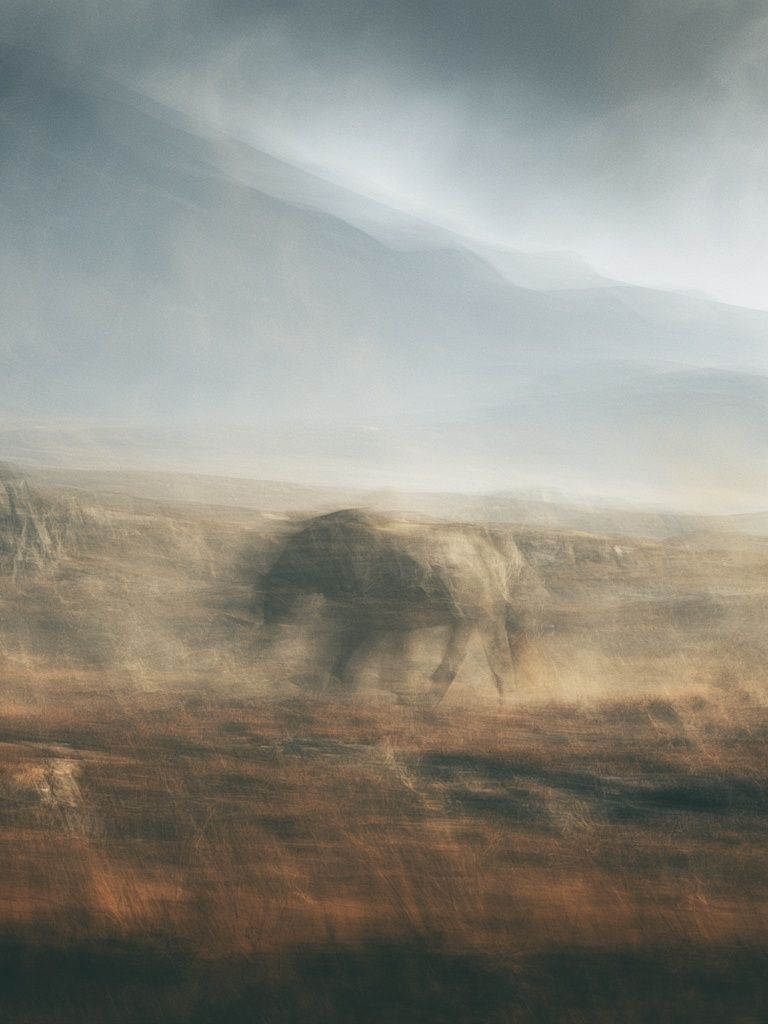 Misty Elephant Landscape Print. poster — animals art