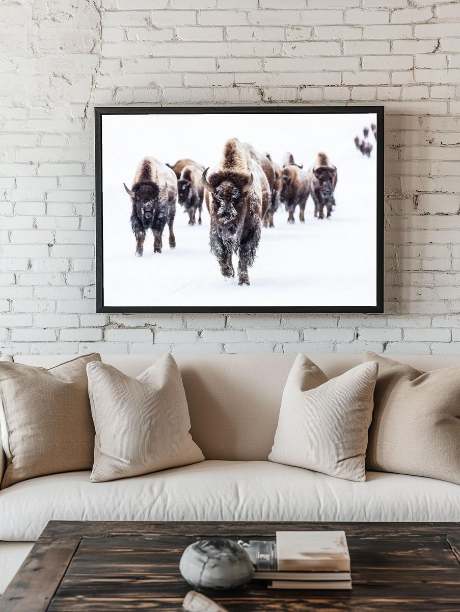 Bison group road Frying Pan. — room view 1