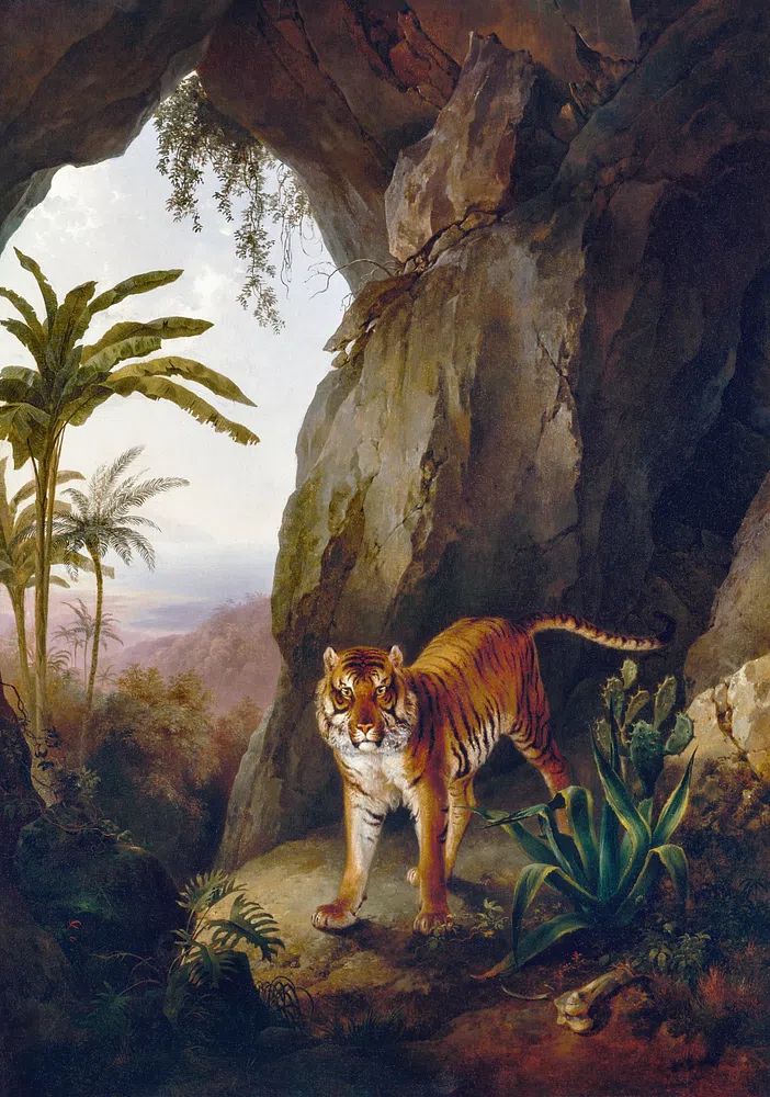 Tiger Cave (ca. 1814) painting. poster — animals art