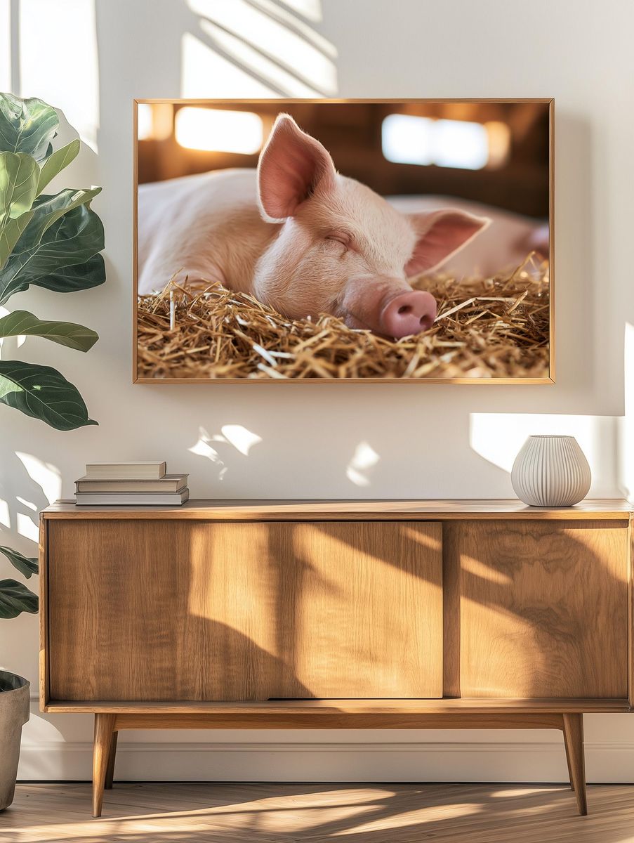 Sleeping Piglet Photography Poster. — room view 3