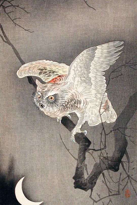 Scops Owl Moonlight Ohara Koson. poster detail