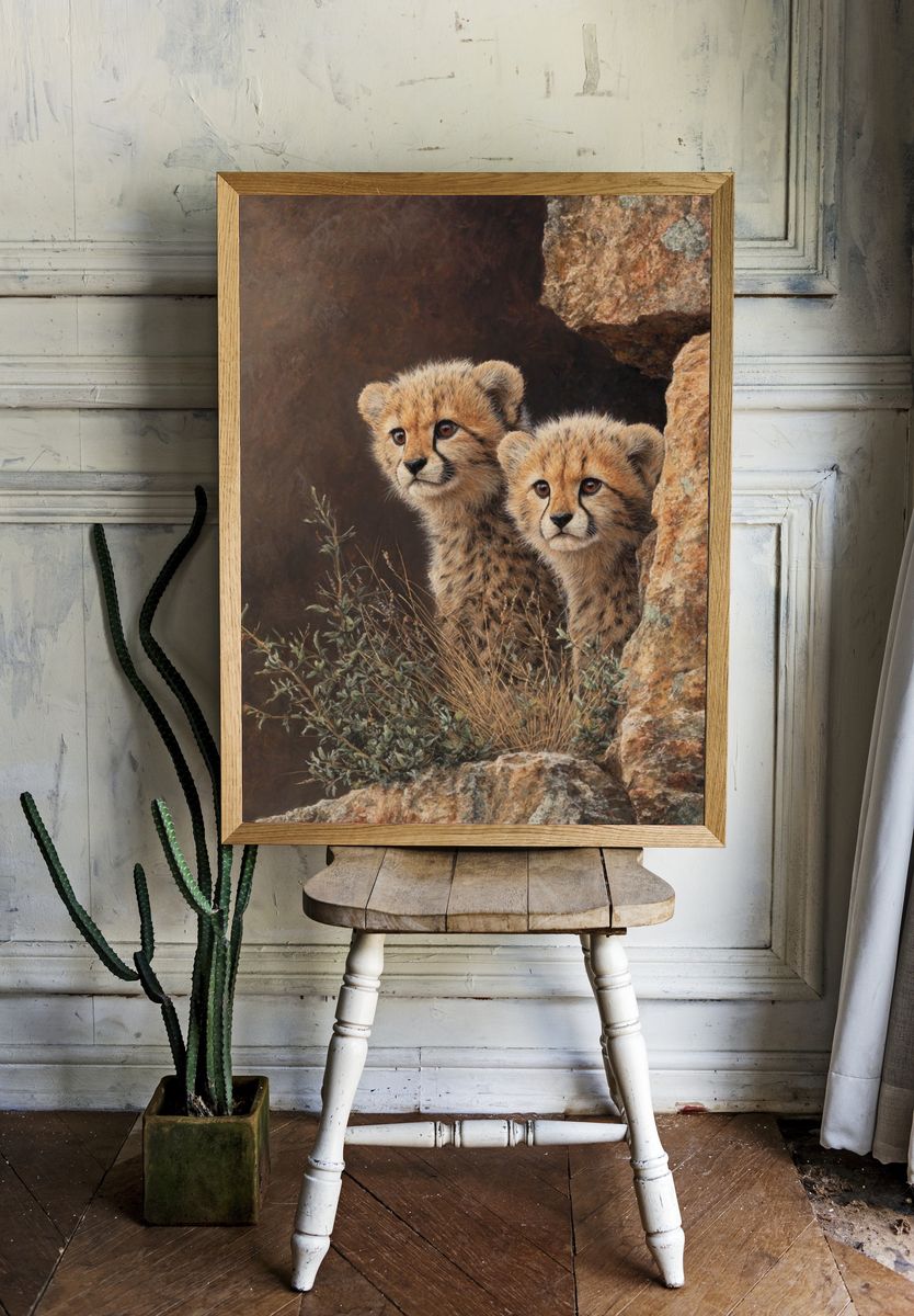 Cheetah Cubs in Rock Shelter Print. room preview