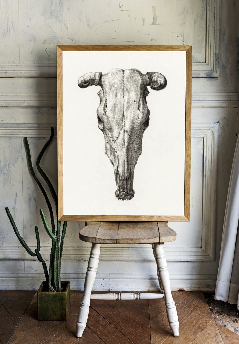 Skull cow (1816) Jean Bernard room preview