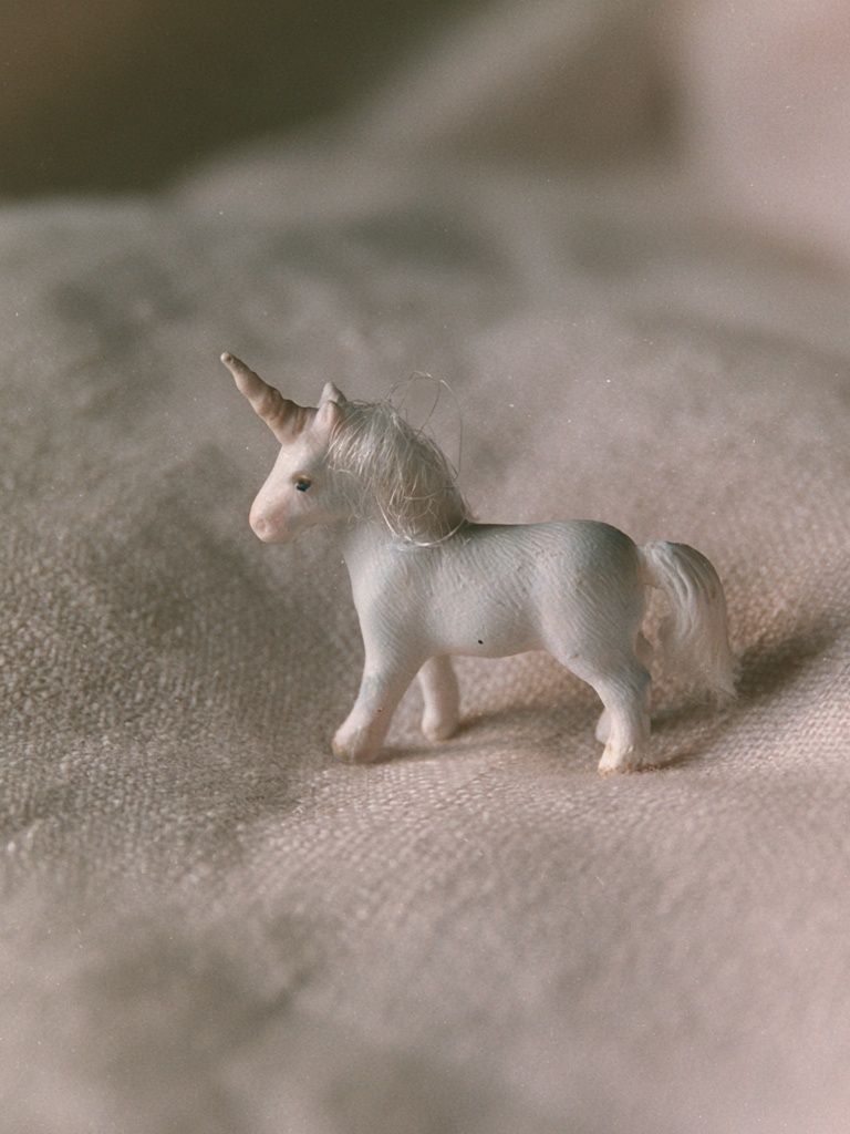 Miniature Unicorn Photography Poster. poster detail