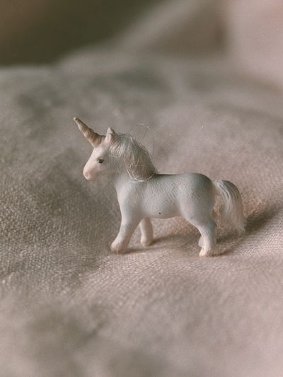 Miniature Unicorn Photography Poster. poster