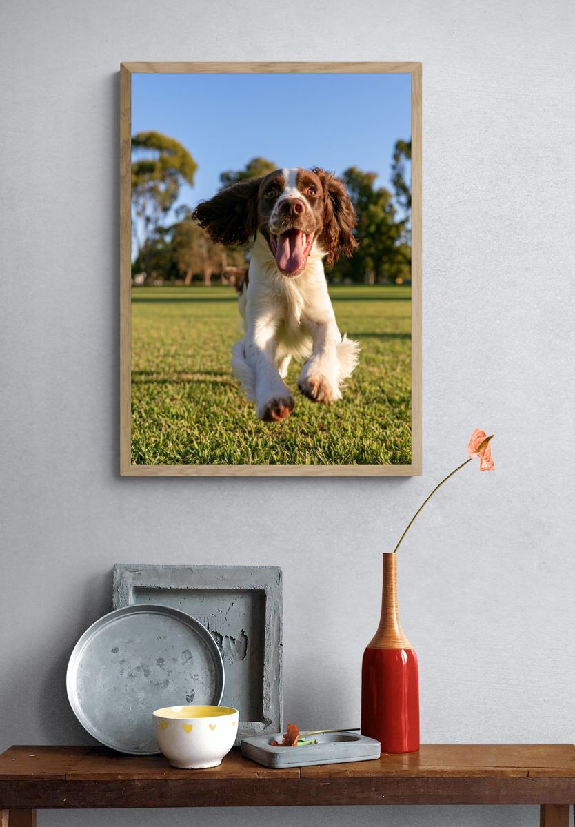 Happy Spaniel Run Photography Poster. — room view 3