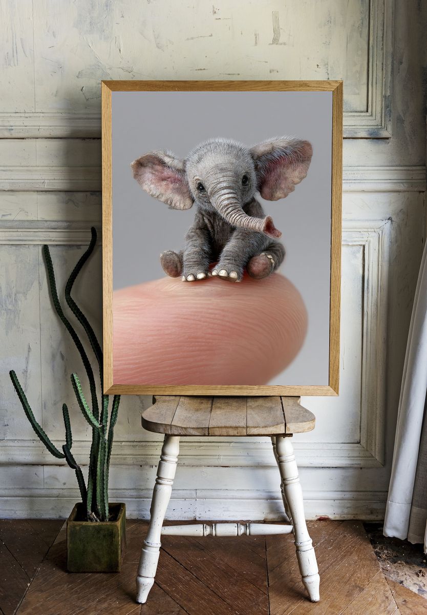 Tiny Elephant Photography Poster. — room view 1