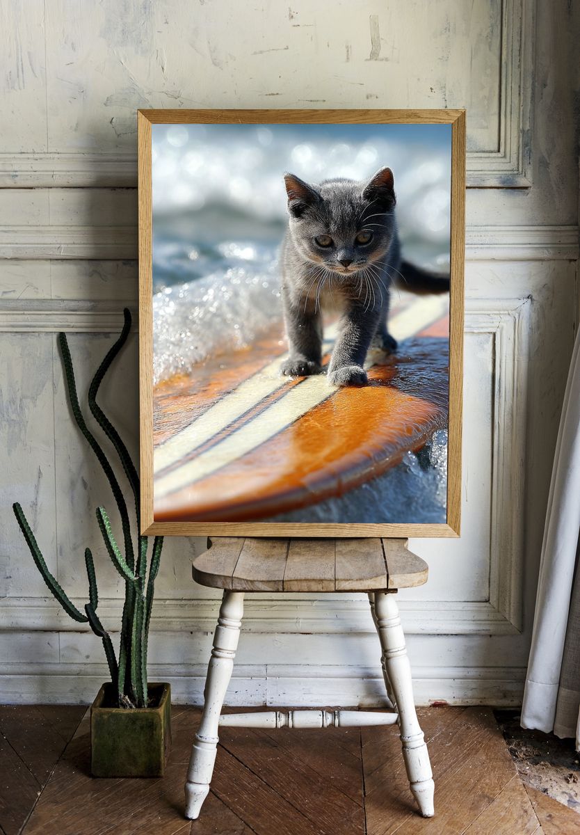 Surfboard Kitten Photography Poster room preview