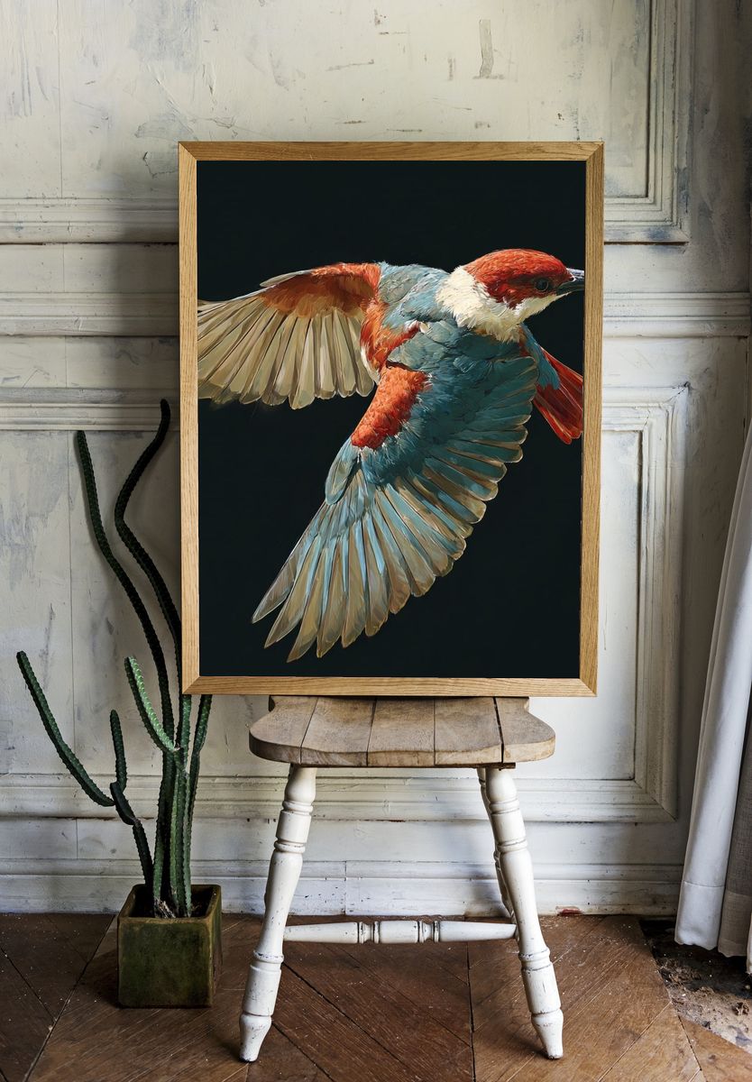 Red-Capped Bird in Flight Print room preview