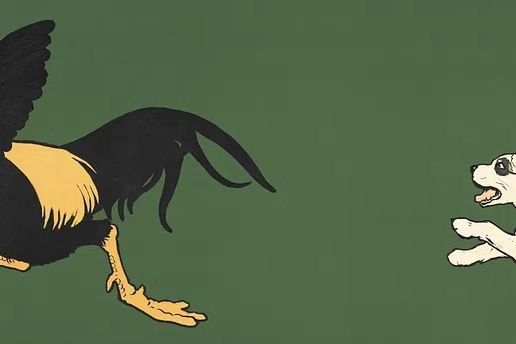 Cock Bird & Dogs (1901). poster — animals art