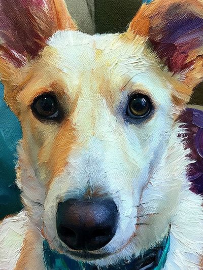Whimsical Dog Portrait Illustration Poster. poster