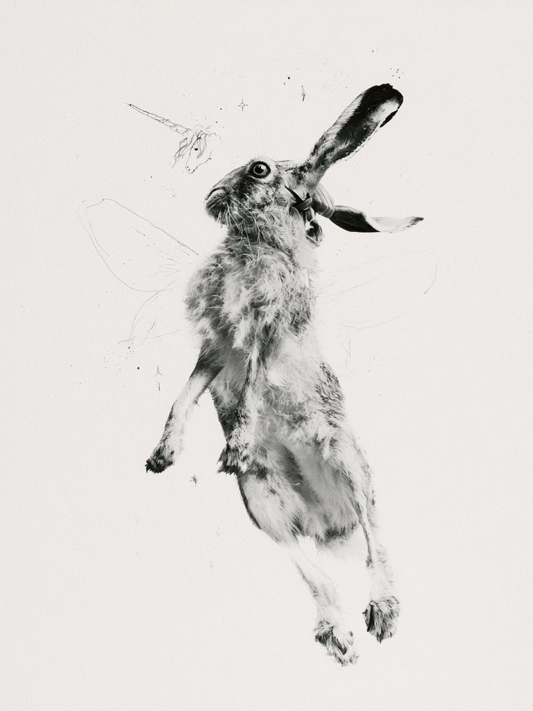 Leaping Hare Black-White Print. poster detail