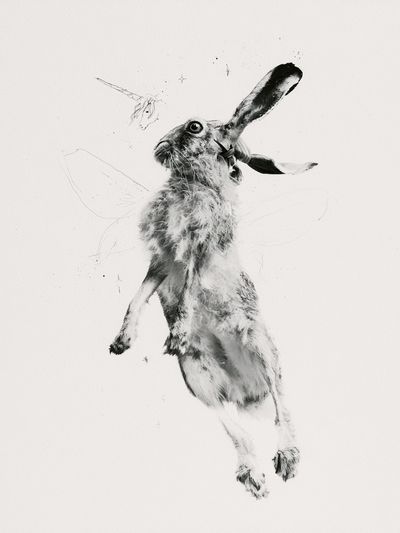 Leaping Hare Black-White Print. poster