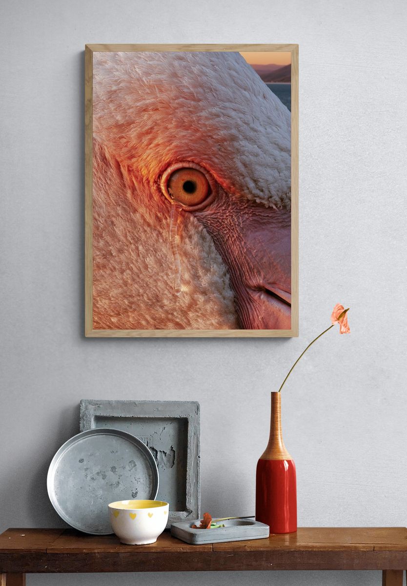 Flamingo Close-Up Photography Poster. — room view 3