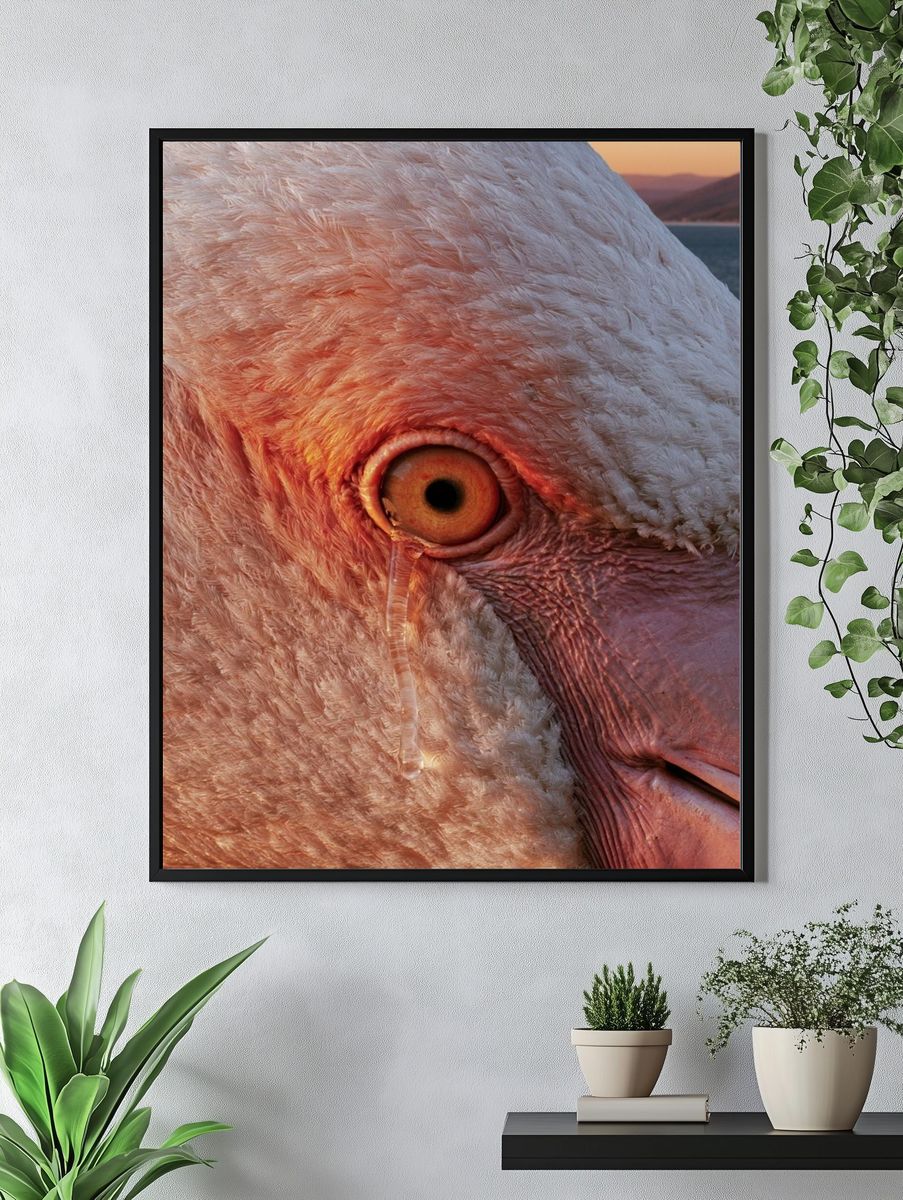 Flamingo Close-Up Photography Poster. — room view 4