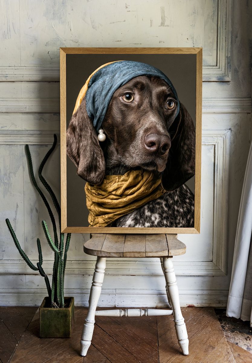 Dachshund Portrait Photography Poster. — room view 1