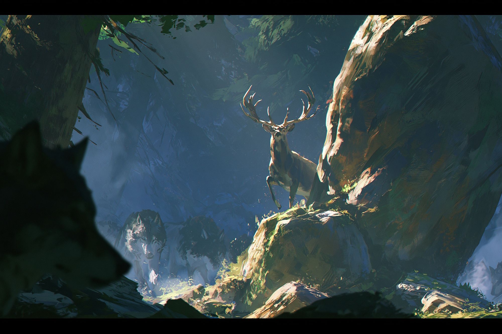 Deer in Misty Forest Print. poster — animals art