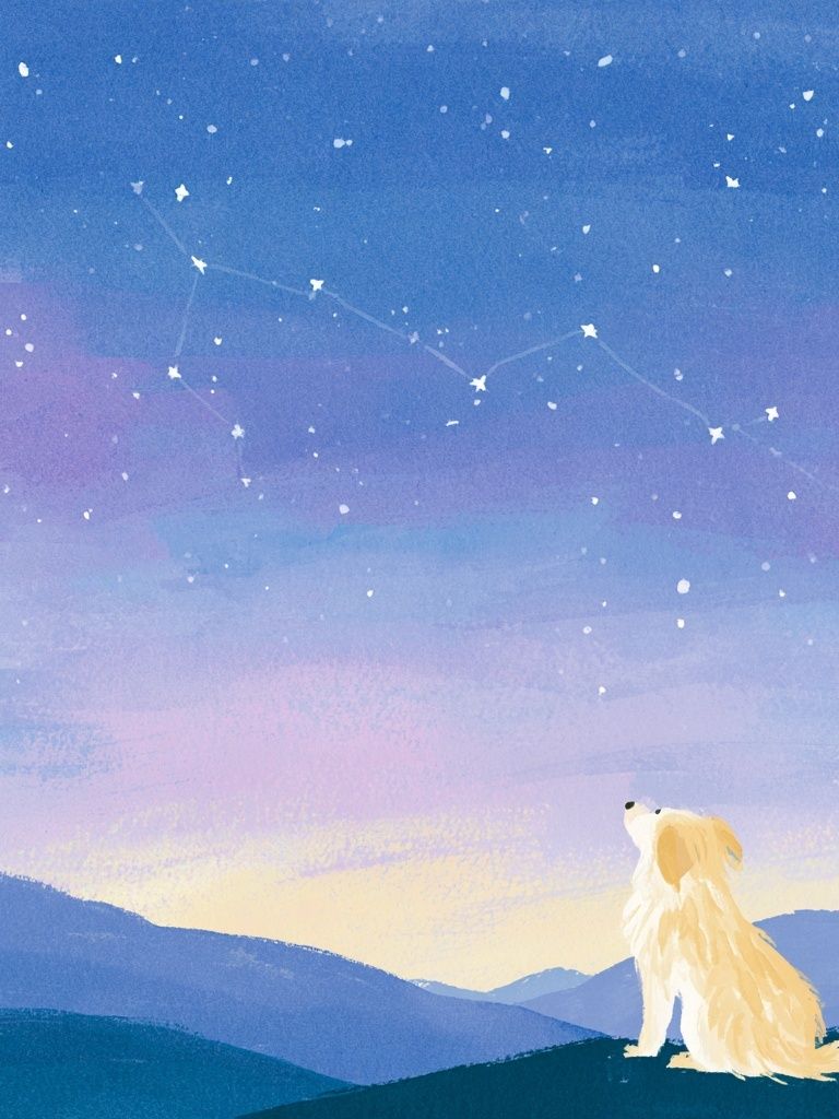 Starry Dog Night Illustration Poster. poster detail