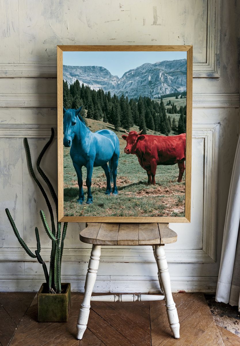 Colorful Horses in Alpine Meadow Poster. — room view 1