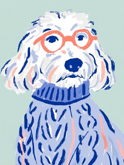 Poodle Portrait Illustration Poster. poster