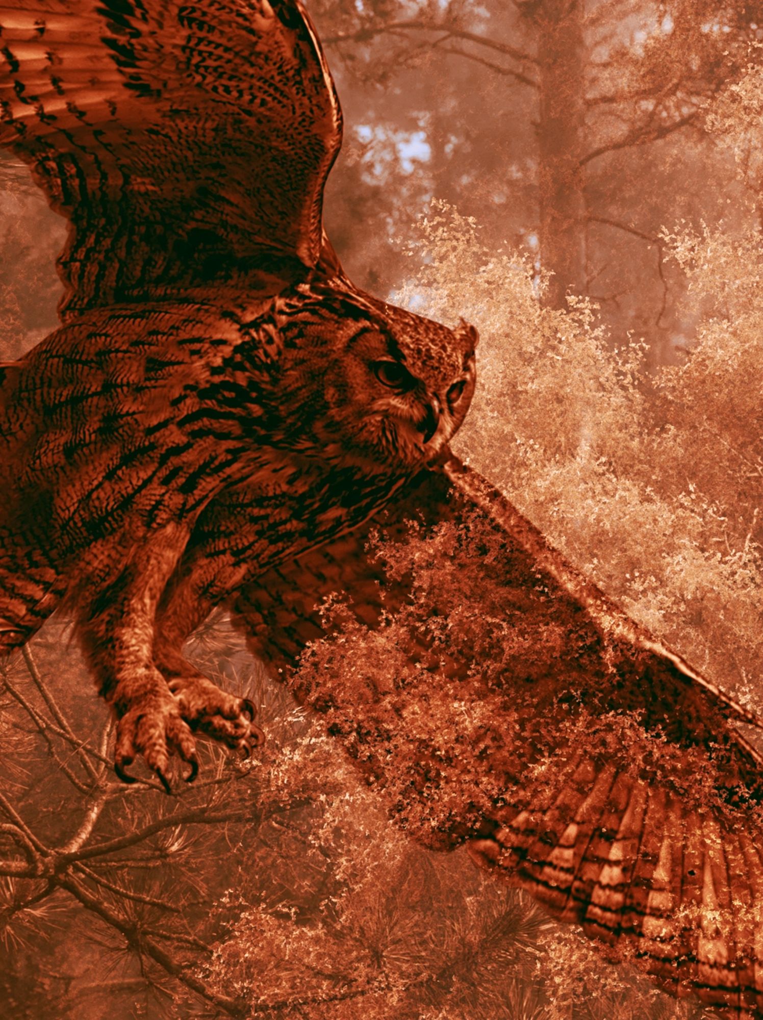 Flying Owl Forest Poster. poster — animals art