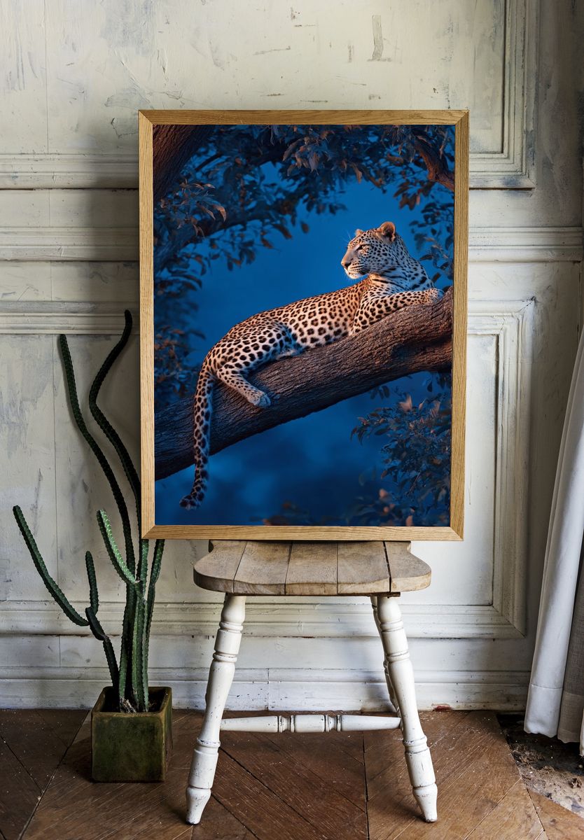 Leopard in Blue Forest — Photography Print room preview