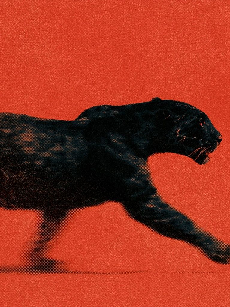 Black Panther Motion Photography Poster. poster detail