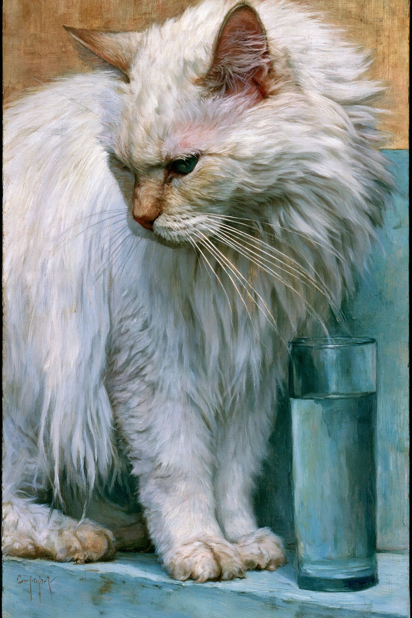 White Cat Portrait Fine-Art Print. poster detail