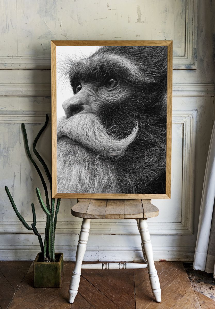 Bearded Monkey Portrait Print. — room view 1