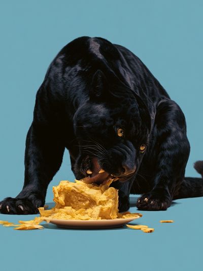 Black Panther Snack Attack Poster. poster