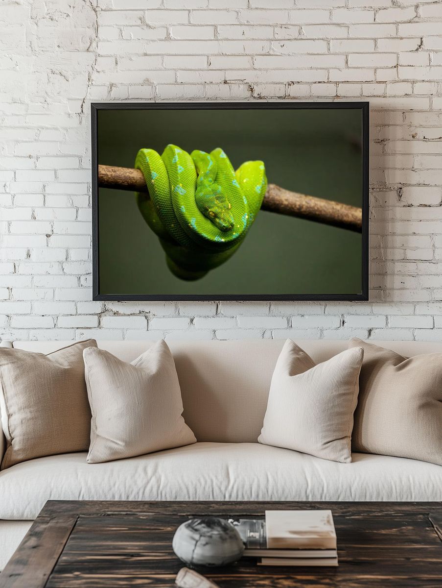 Green Python on Branch — Animal Photography Print room preview