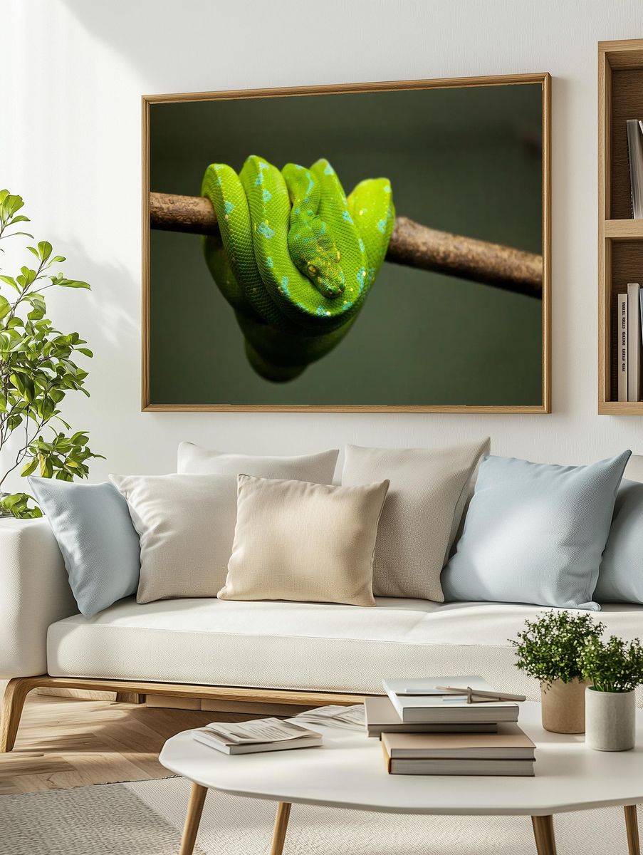 Green Python on Branch — Animal Photography Print. — room view 2