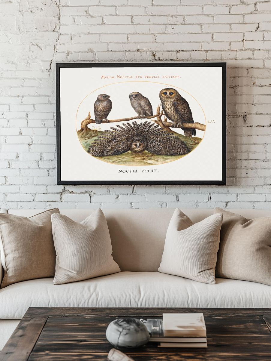 Four Owls (1575-1580) painting high. — room view 1