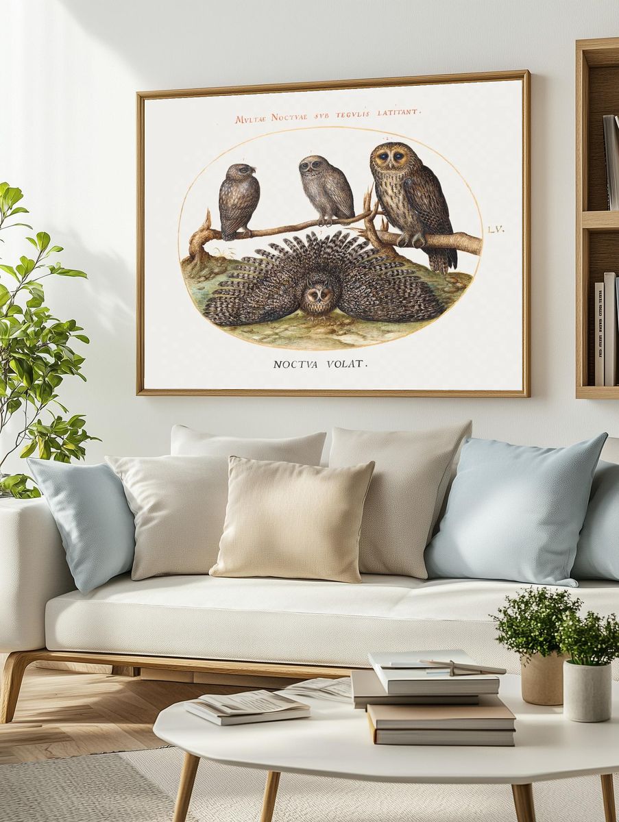 Four Owls (1575-1580) painting high. — room view 2