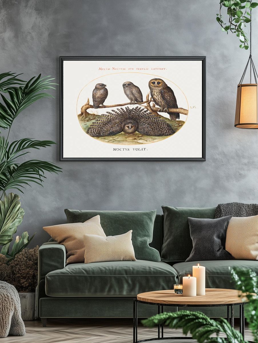 Four Owls (1575-1580) painting high. — room view 4