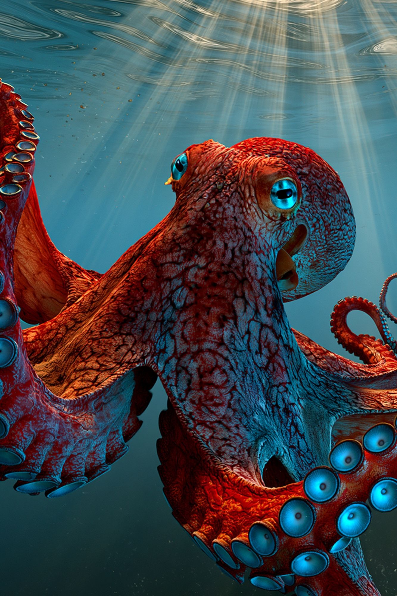 Underwater Octopus Digital Art Poster. poster detail