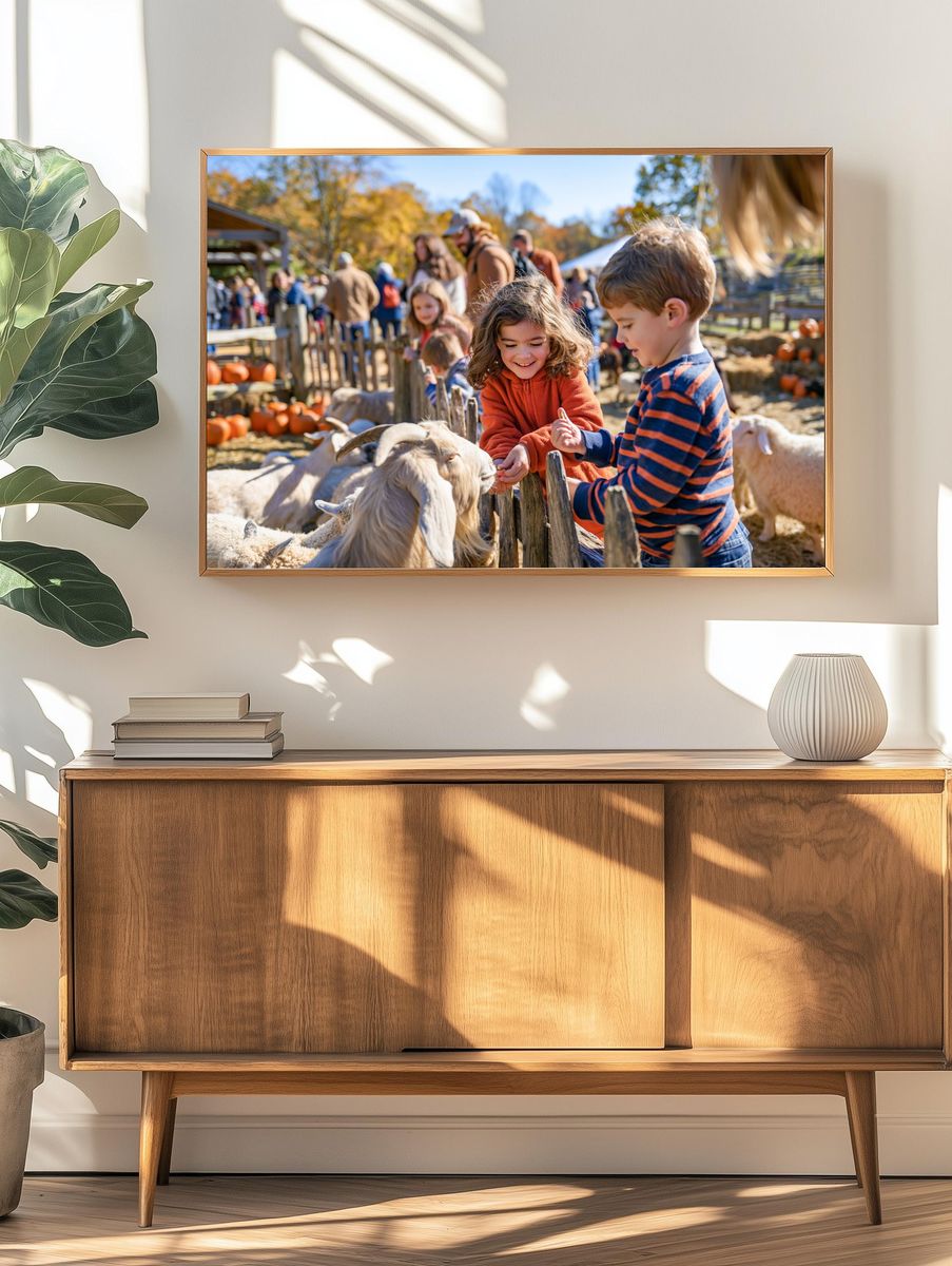 Autumn Pumpkin Patch Photography Poster. — room view 3