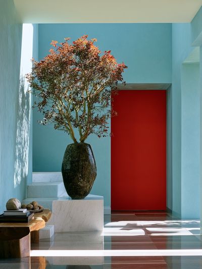 Modern Interior with Bonsai Poster. poster