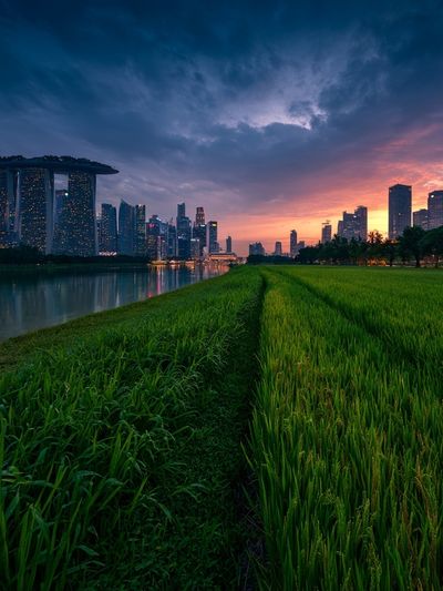 Singapore Skyline Sunset Poster. poster