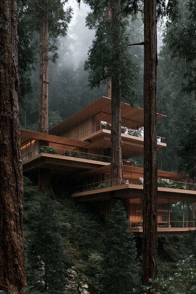 Rainy Forest Retreat Architecture Poster.